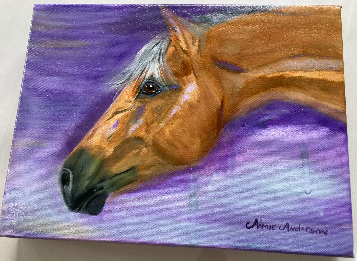 My Little Horse MAVERICK -   Giclee Paper Print