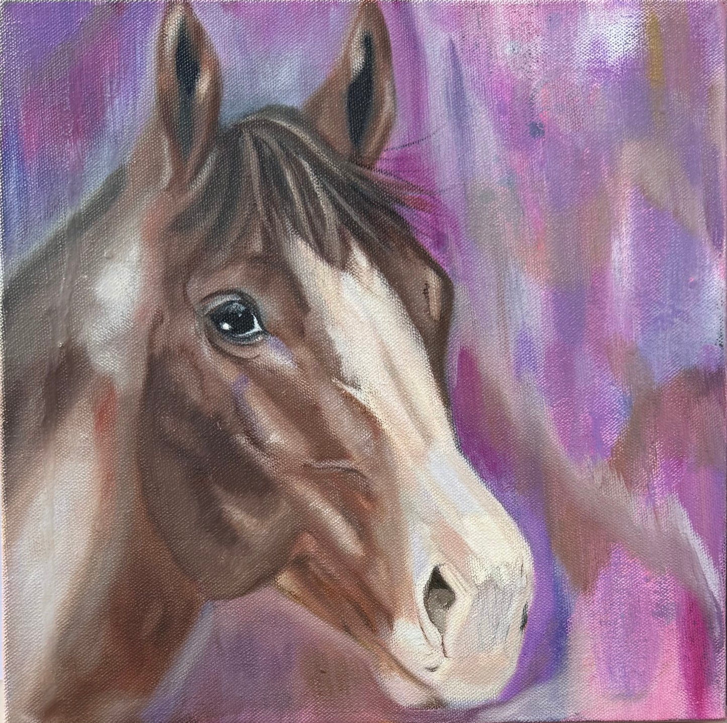 My Little Horse ROCCO - Giclee Paper Print